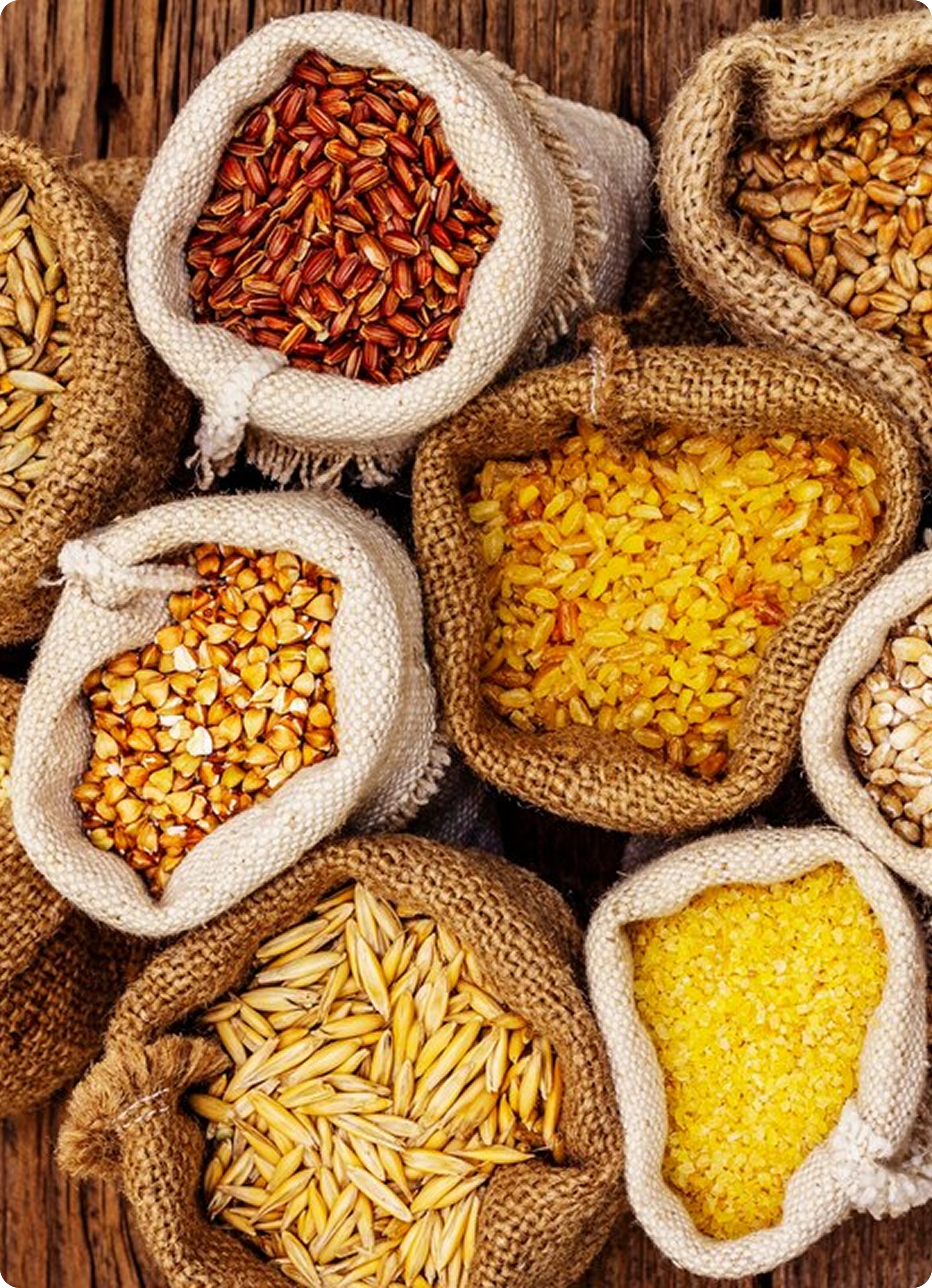 Grains