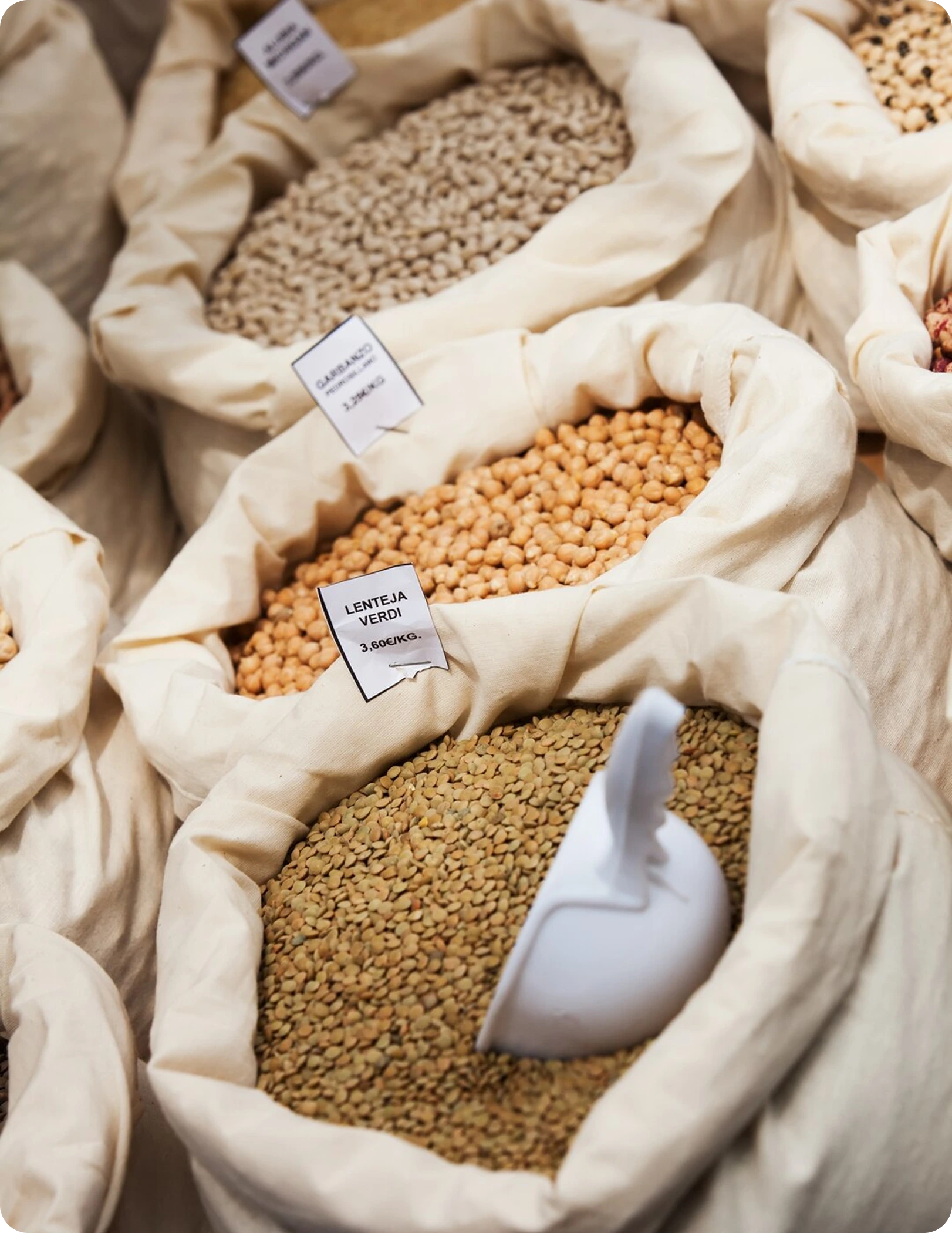 Sourcing and Distribution
